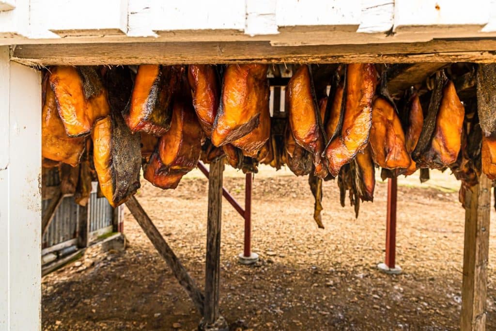 Fleisch vom Grönlandhai beim Trocknen. Nach wenigen Tagen an der Luft wird die äußere Schicht braun. Die Trocknung dauert vier Monate / © Foto: Georg Berg