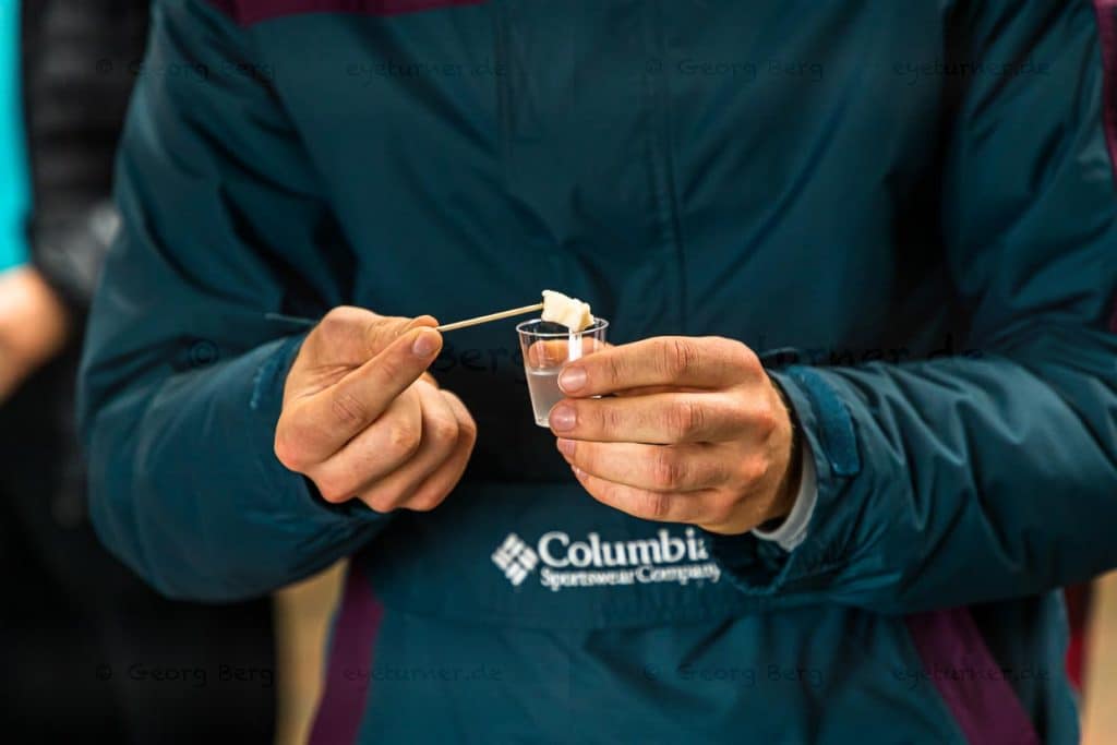 Hakarl Tasting für Anfänger. Dem stechenden Geschmack nach überreifem Schimmelkäse folgt ein isländischer Schnaps mit dem Namen Schwarzer Tod / © Foto: Georg Berg