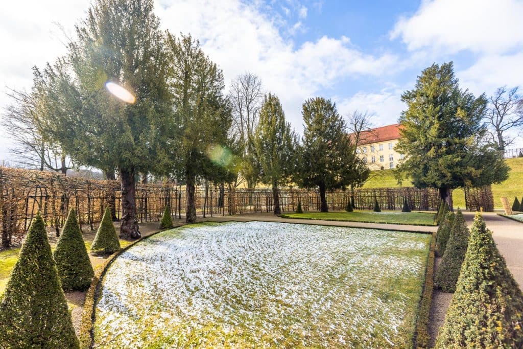Markantes Gestaltungsmerkmal im Barockgarten von Kloster Neuzelle sind die kegelförmigen Eiben. Bei der Restaurierung der Anlage wurden im alten Baumbestand noch fünf 300 Jahre alte Original-Eiben entdeckt / © Foto: Georg Berg
