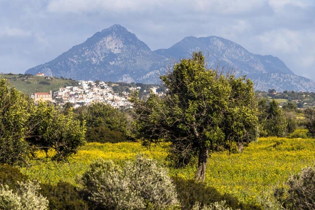 Das Dorf Kormakitis / Korucam liegt rund 8 Kilometer vom Meer entfernt. Im Hintergrund die Ausläufer des Fünffinger-Gebirges. In dem Ort leben seit Jahrhunderten Maroniten / © Foto: Georg Berg