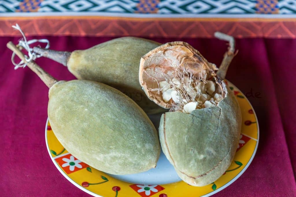Früchte und Samen des Baobab Tree (Affenbrotbaum). Die Früchte sind reich an Vitamin C, Kalium und anderen wertvollen Nährstoffen. In Malawi werden sie als Nahrungsmittel und Heilmittel verwendet. Baobabbäume benötigen mindestens 20 Jahre, um Früchte zu tragen / © Foto: Georg Berg