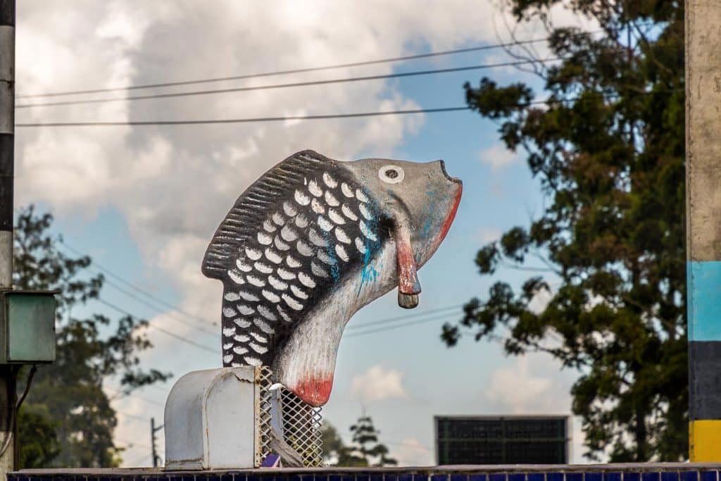 Chambo Fisch Skultur in einem Kreisverkehr. Der Buntbarsch aus dem Malawisee ist das Nationalgericht des Landes. Hohe Fangquoten im Seegebiet von Mosambique haben den Bestand stark dezimiert / © Foto: Georg Berg