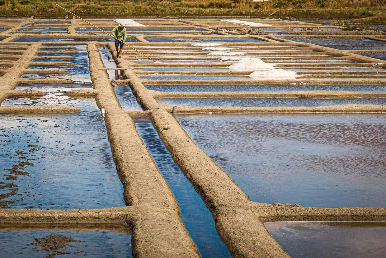 Bretagne Guerande: Salzbauer Paludier in seinem Kanalsystem / © Foto: Georg Berg