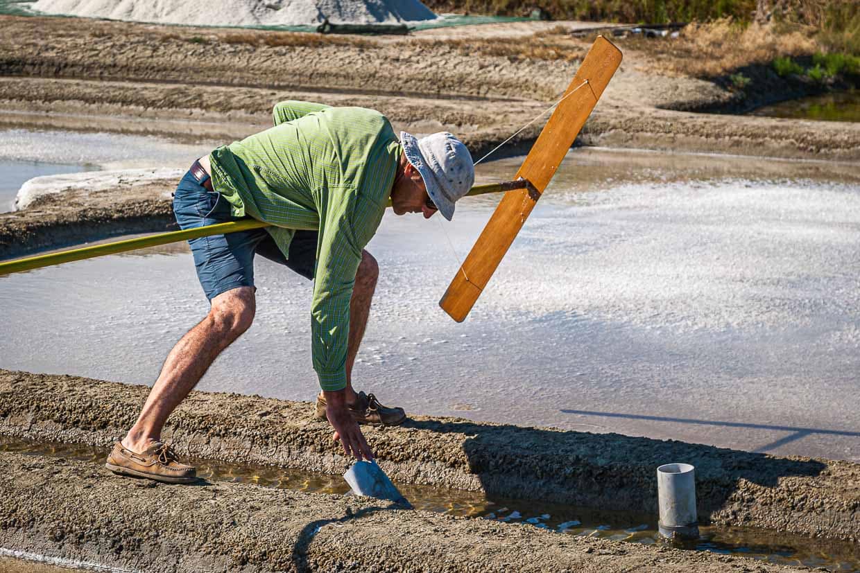 Durchdachte und mit peniblem Zu- und Abflüssen gesteuerteVerdunstung. Nur ein Starkregen macht der Planung manchmal einen Strich durch die Rechnung / © Foto: Georg Berg