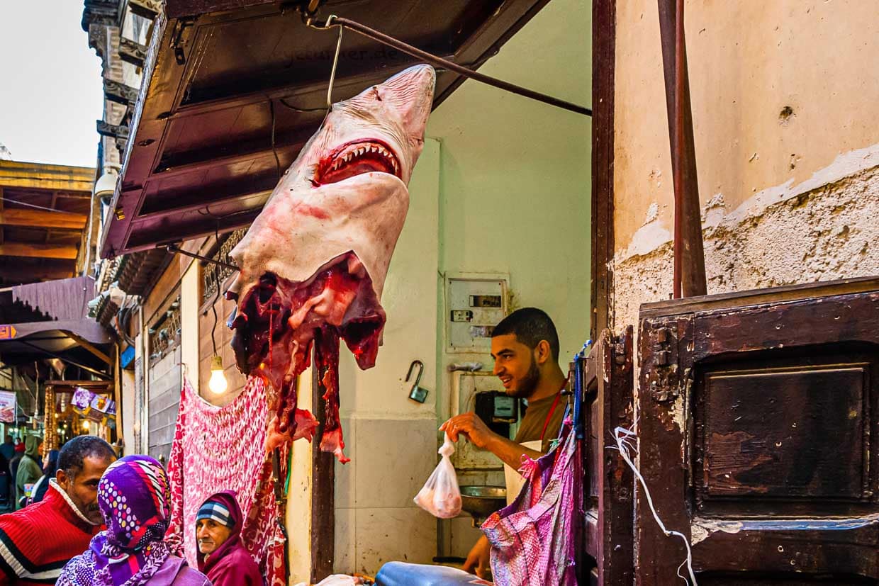 Fischhandel anders als wir ihn kennen / © Foto: Georg Berg