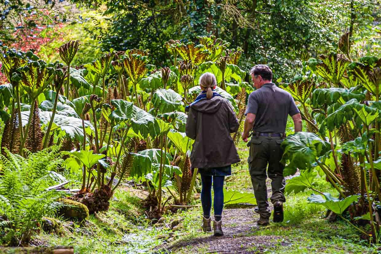 Eine lohnenswerte Führung: Ben Roscombe-King weiß spannende Details  zu berichten. So erzählt er, dass der Herzog von Bedford nicht nur ein großer Pflanzensammler war, sondern auch Tiere gesammelt hat. Darunter auch das graue Eichhörnchen. Es vermehrte sich in Gefangenschaft so gut, dass er die Nachkommen im Freundeskreis verschenkte und somit den Anfang vom Ende der roten Eichhörnchen auf den Britischen Inseln einläutete / © Foto: Georg Berg