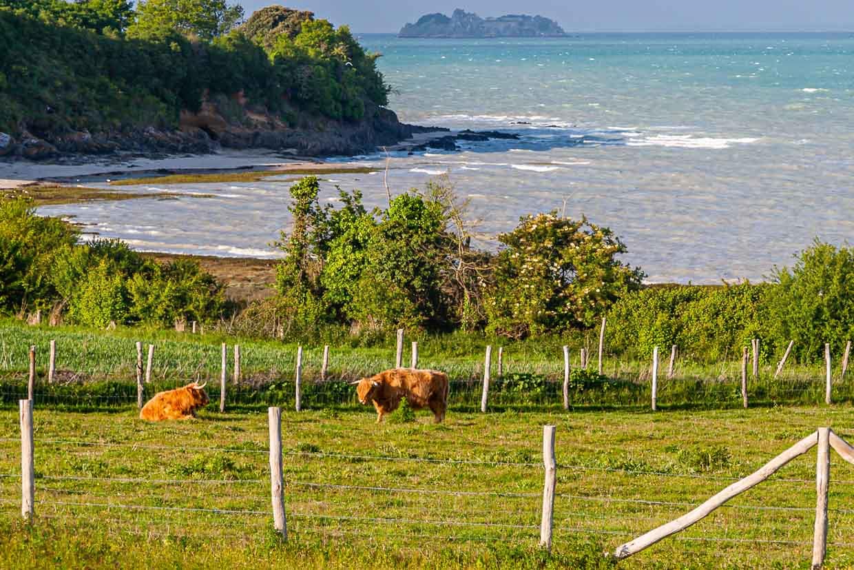 Blick über das "Feld des Windes" in Richtung Cancale, dem Zentrum der Austernzucht in der Region / © Foto: Georg Berg
