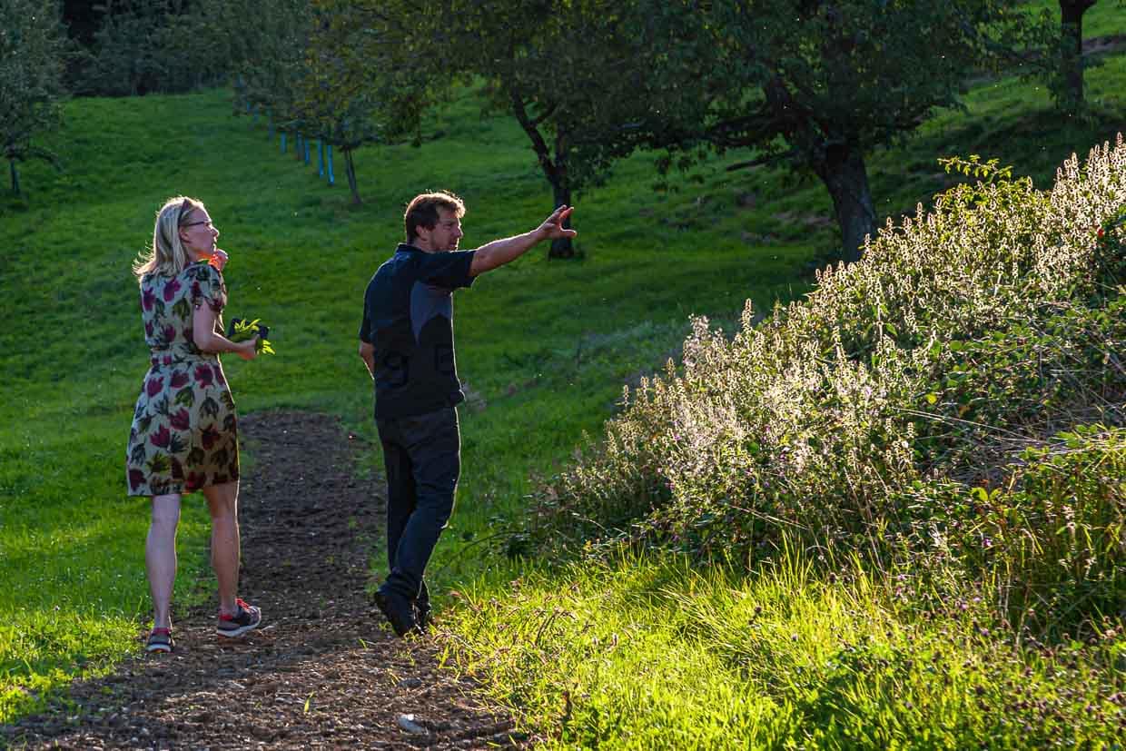 Spannende Randerscheinung. Die Kräuter und Früchte der Sträucher am Wiesenrand wie Mädesüß, Roßminze oder Schlehe schaffen es ebenfalls in die Cuvees aus Schlat / © Foto: Georg Berg