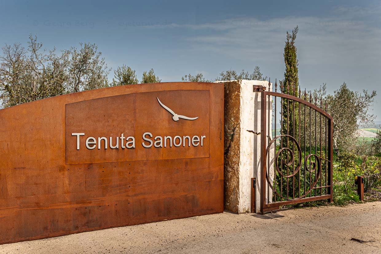 Gut zu Fuß erreichbar liegt oberhalb des Hotels das junge Weingut der Familie Sanoner / © Foto: Georg Berg