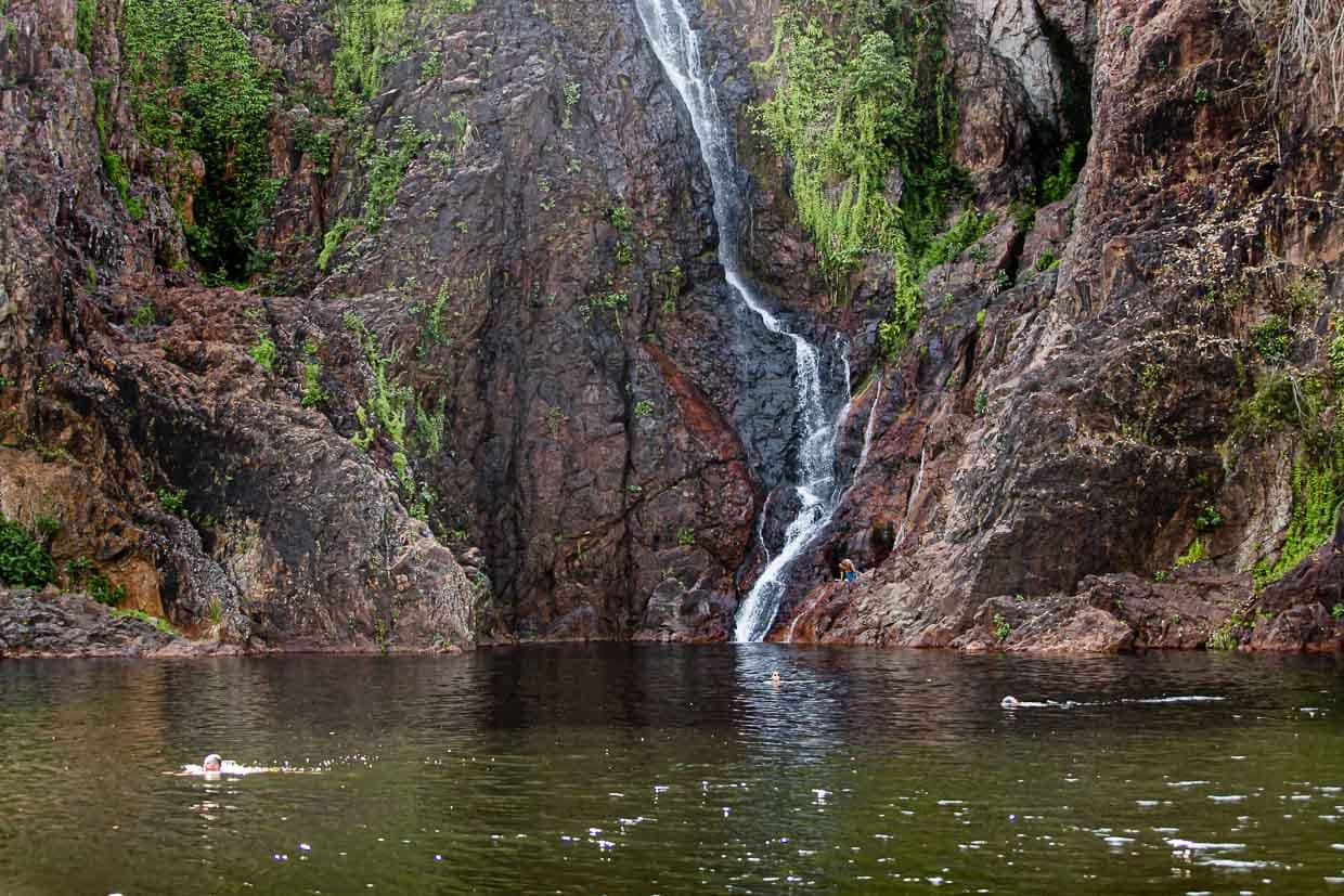 Erfrischung im klaren Wasser am Fuß der Wangi-Fälle im Litchfield Nationalpark / © Foto: Georg Berg