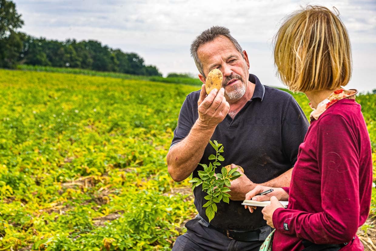 Landwirt Paul Strixner auf seinem Feld mit der reifen Frühkartoffel Juwel / © Foto: Georg Berg