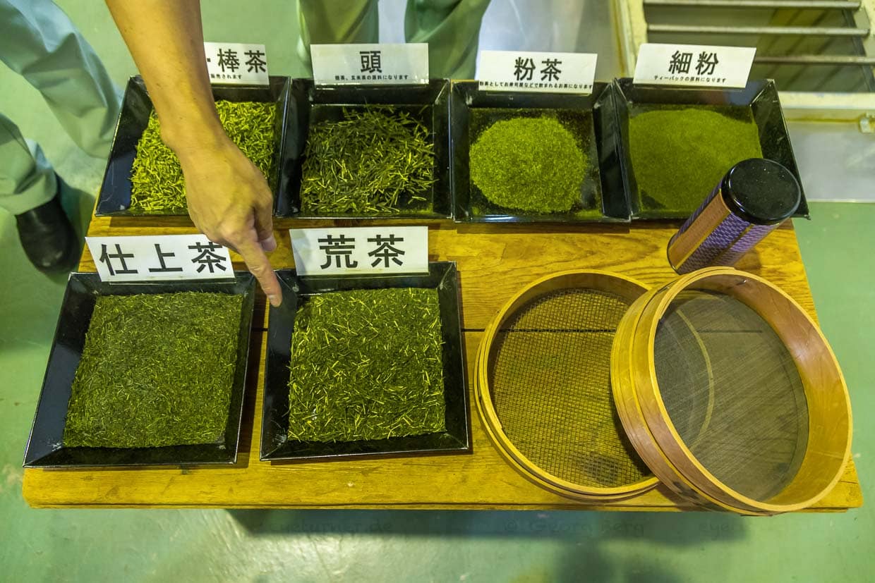 Unterschiedliche Tee-Qualitäten. Sencha ist gut an den nadelförmigen Blättern zu erkennen / © Foto: Georg Berg