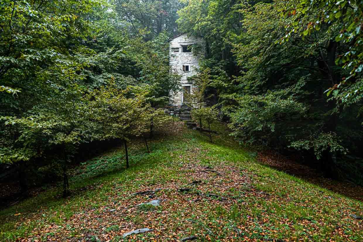 Versteckt zwischen den Bäumen, auf eine Höhe von 950 Meter steht der Roccolo Meri, der Vogelturm von Scudellate. Der Turm wurde restauriert und ist zu bestimmten Zeiten auch zu besichtigen / © Foto: Georg Berg