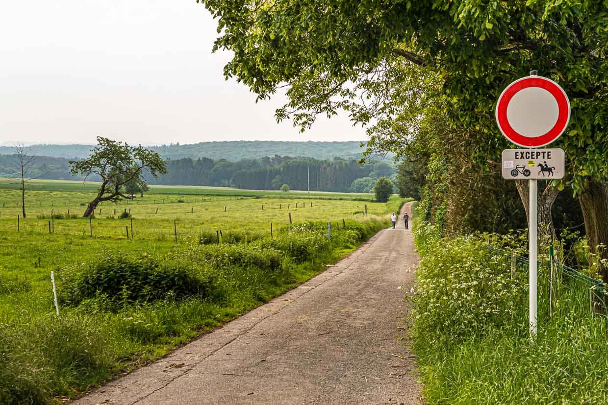 Startpunkt der Tagesetappe ist Berdorf. Aus dem Dorf heraus führt schnurstracks ein Feldweg Richtung Wald und schon nach wenigen Gehminuten ist man in einer anderen Welt / © Foto: Georg Berg