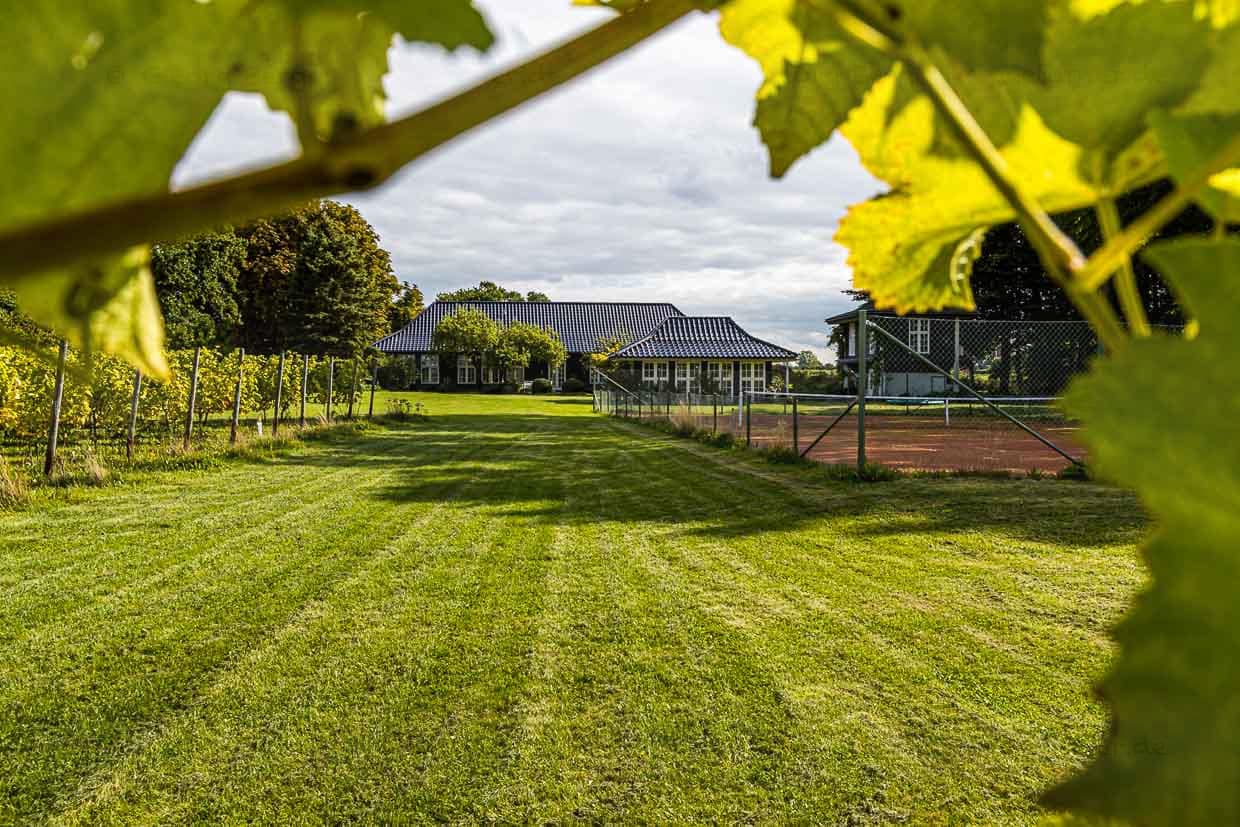 Weingut Stokkebye wurde von einem dänischen Ehepaar in Anlehnung an die Farm von Karen Blixen in Afrika gebaut. „Ich hatte eine Farm in Afrika am Fuße der Ngong Berge“ so der berühmte erste Satz aus der Romanverfilmung "Jenseits von Afrika" mit Meryl Streep / © Foto: Georg Berg