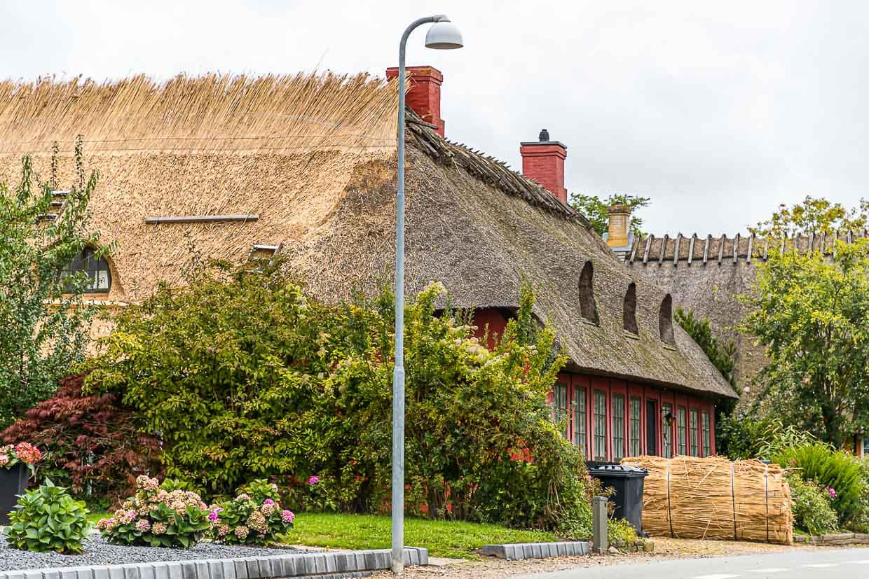 Troense gilt als einer der schönsten Orte. Hier stehen viele alte Reetdach-Häuser. Obstanbau und Schiffsbau war früher von Bedeutung. Besonders prachtvolle Reetdachhäuser stehen direkt an der Hafenpromenade. Hier wird ein Dach mit neuem Schilfrohr ausgebessert / © Foto: Georg Berg