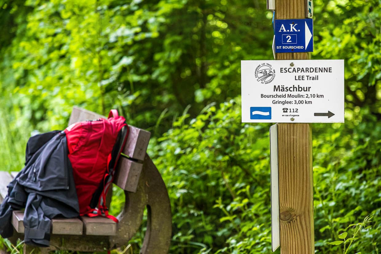 Der erste Steilanstieg aus dem Tal der Sauer ist geschafft. Das Zeichen der weißen Welle auf blauem Grund ist das offizielle Zeichen des Trails