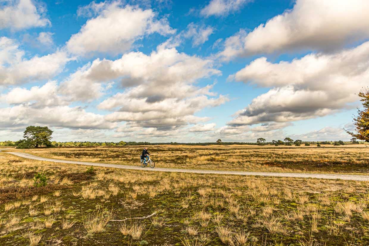 Mit dem Leihfahrrad durch den Nationalpark De Hoge Veluwe