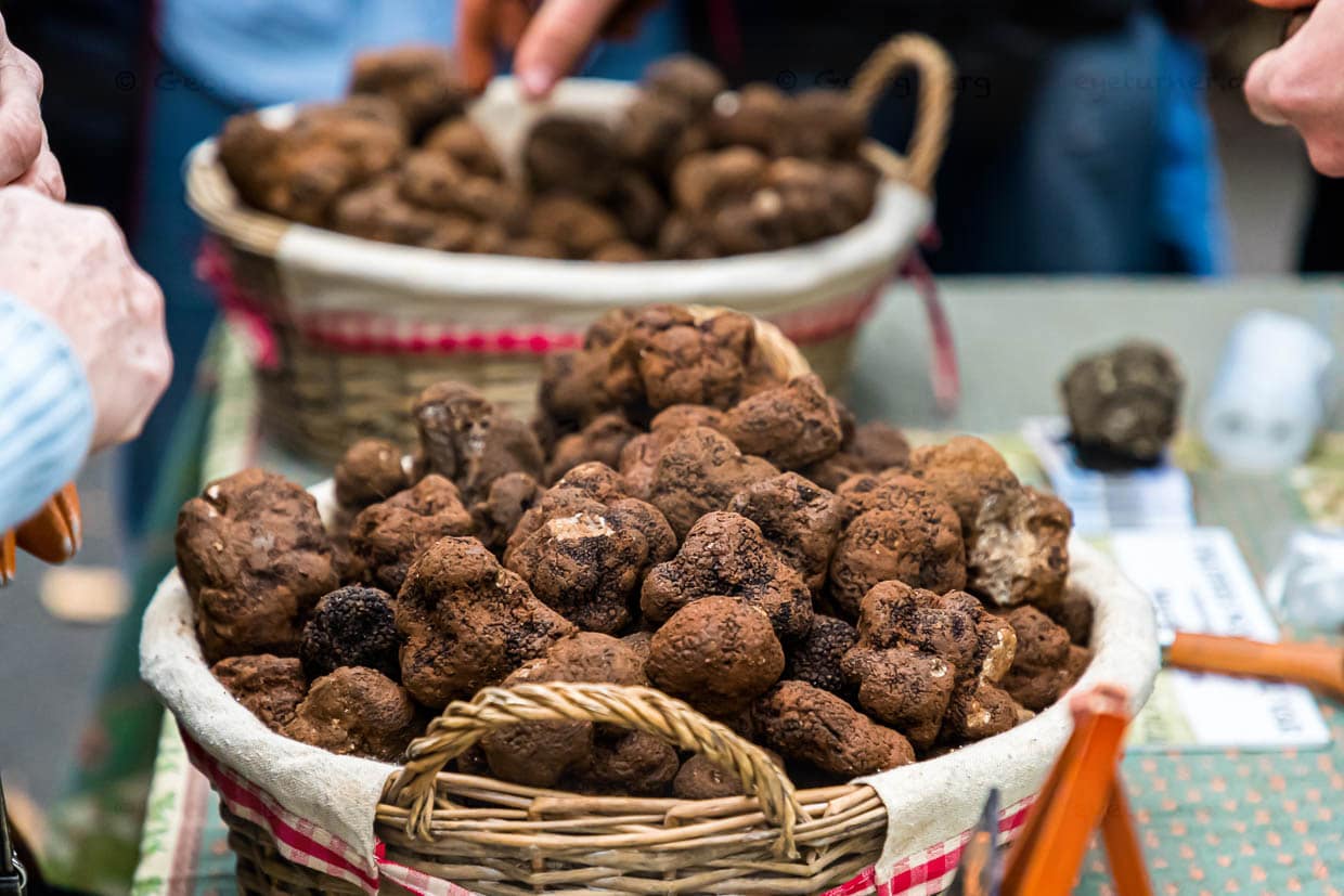 Der Trüffelmarkt in Aups findet von Anfang Dezember bis März immer donnerstags statt. Der Trüffelmarkt von Aups ist der drittgrößte seiner Art in ganz Frankreich. Hier verkaufen die Trüffelhändler direkt an Endkunden. Woanders sind beim Trüffelhandel meist Großhändler zwischengeschaltet / © Foto: Georg Berg