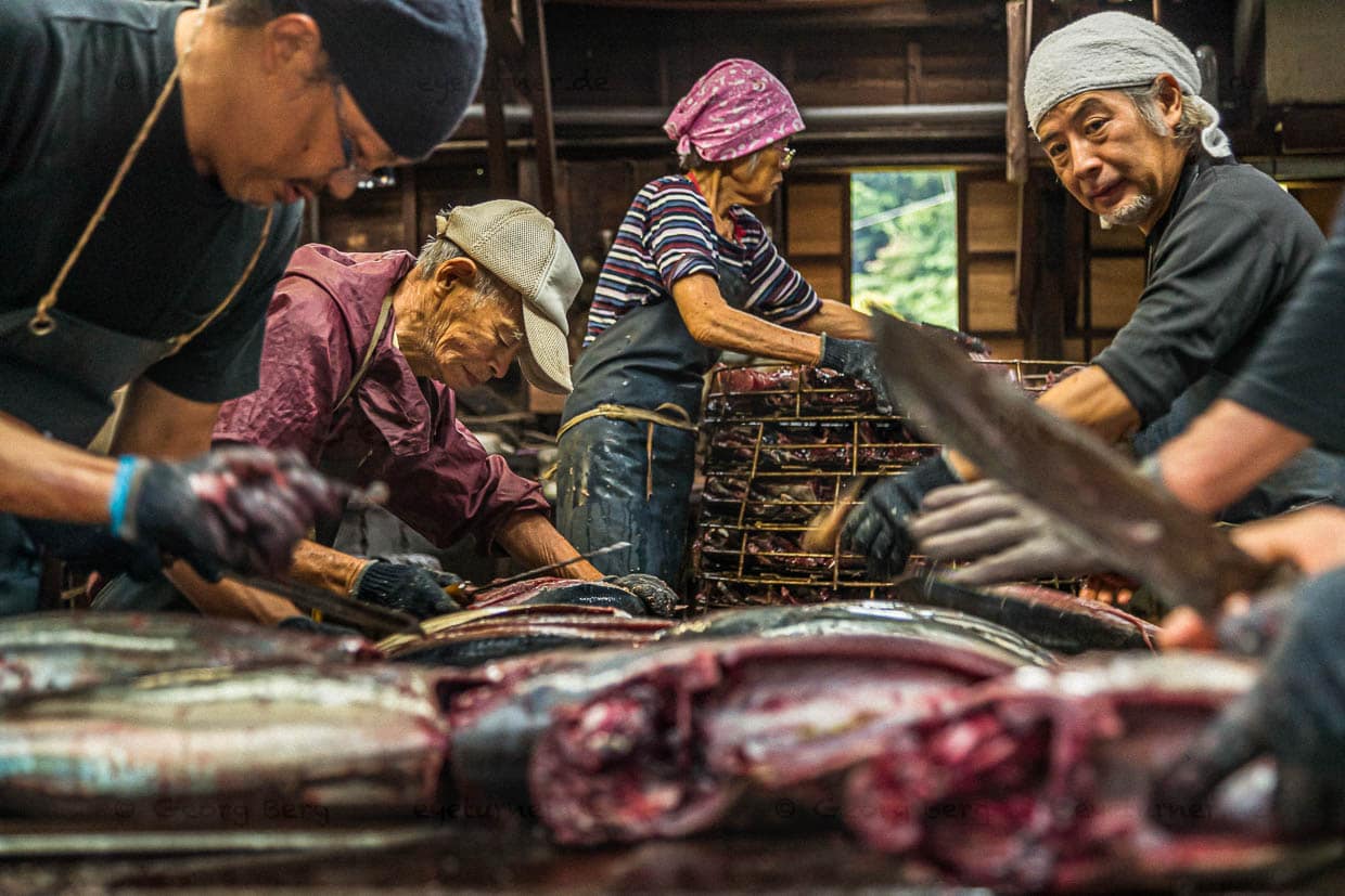 Yasuhisa Serizawa, rechts im Bild. Ihm gegenüber sein Vater, der mit weit über 80 Jahren noch mitzerteilt. Seine Mutter nimmt die Fischhälften und legt sie für den nächsten Arbeitsschritt in einen großen Metallkorb / © Foto: Georg Berg