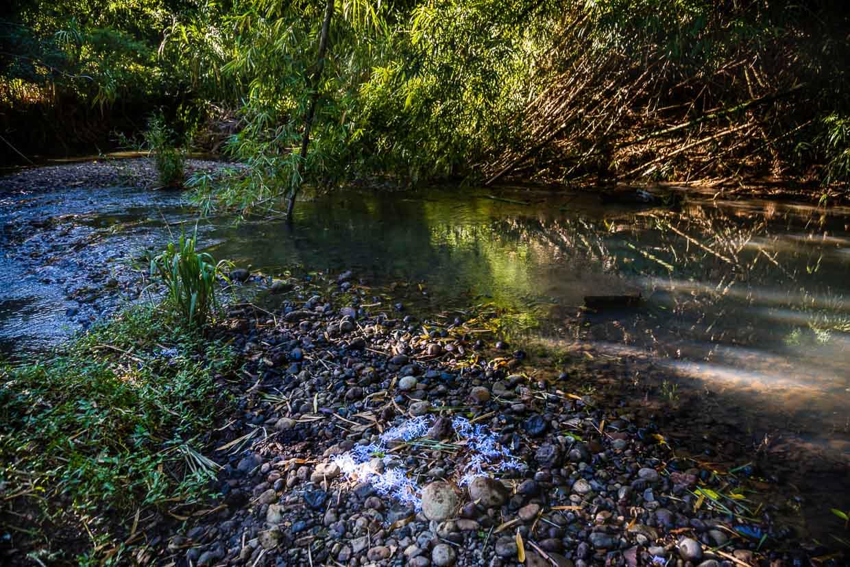 Papierschnitzel aus dem Reiswolf markieren die Spur, auch wenn kein Weg zu erkennen ist. Aber was bedeutet dieses Zeichen? / © Foto: Georg Berg