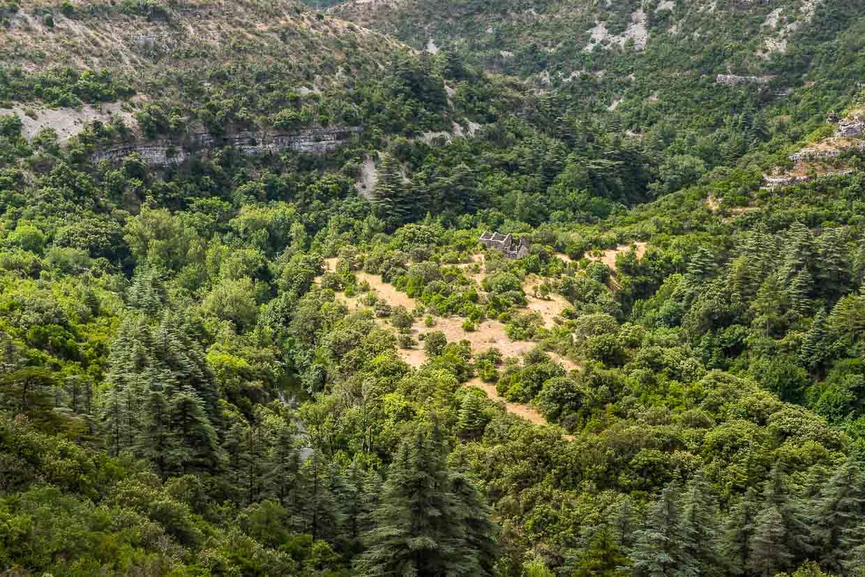 Der Weg von den Getreidefeldern bis zur Mühle war oft beschwerlich / © Foto: Georg Berg