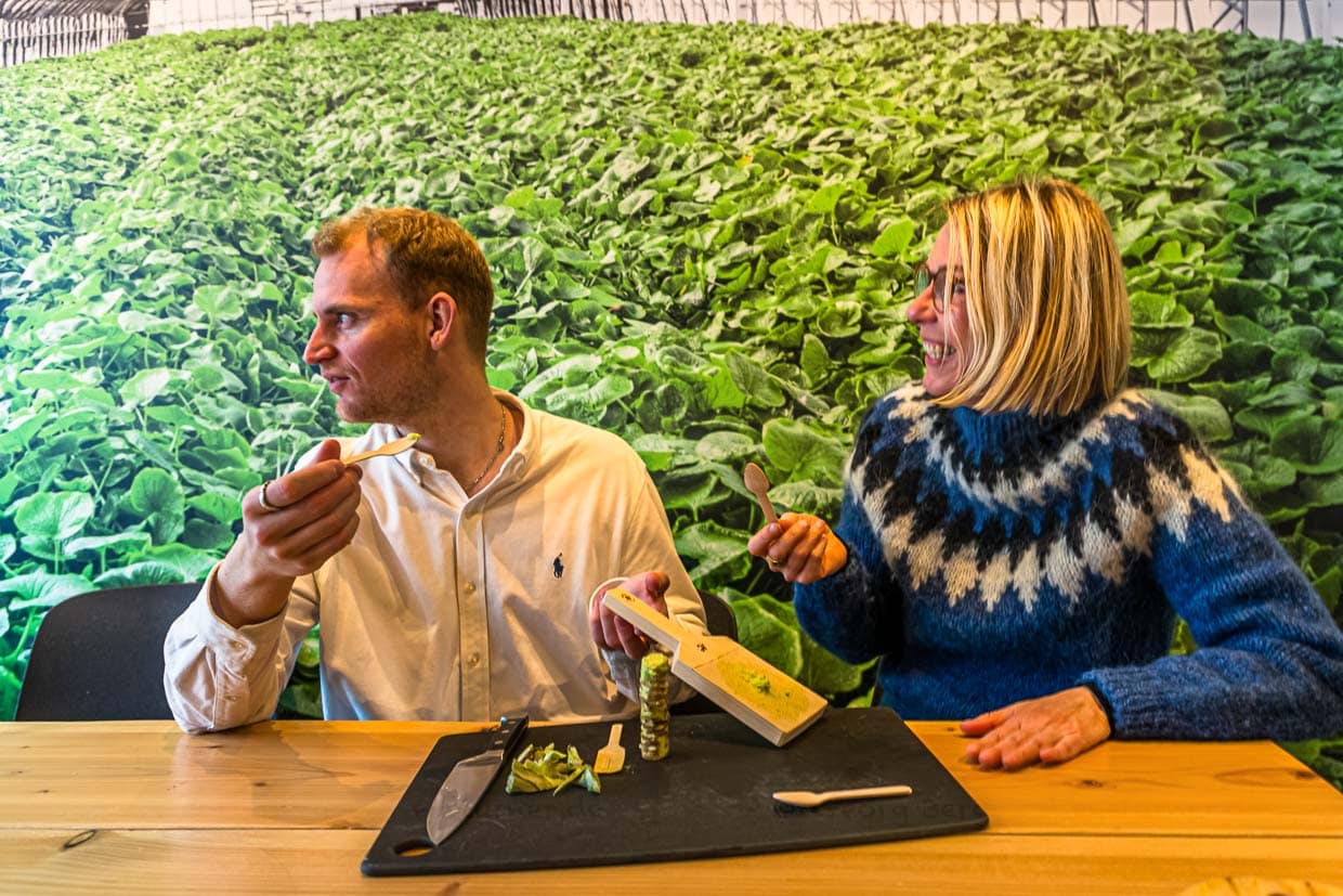 Picante con auténtico wasabi.  El picante del wasabi recién rallado alcanza su punto máximo a los cinco minutos. Olli Hall, Director de Marketing y Ventas de Nordic Wasabi, y la editora gastronómica Angela Berg miran divertidos al fundador de Nordic Wasabi, Ragnar Atli Tomason (no aparece en la foto) / © Foto: Georg Berg