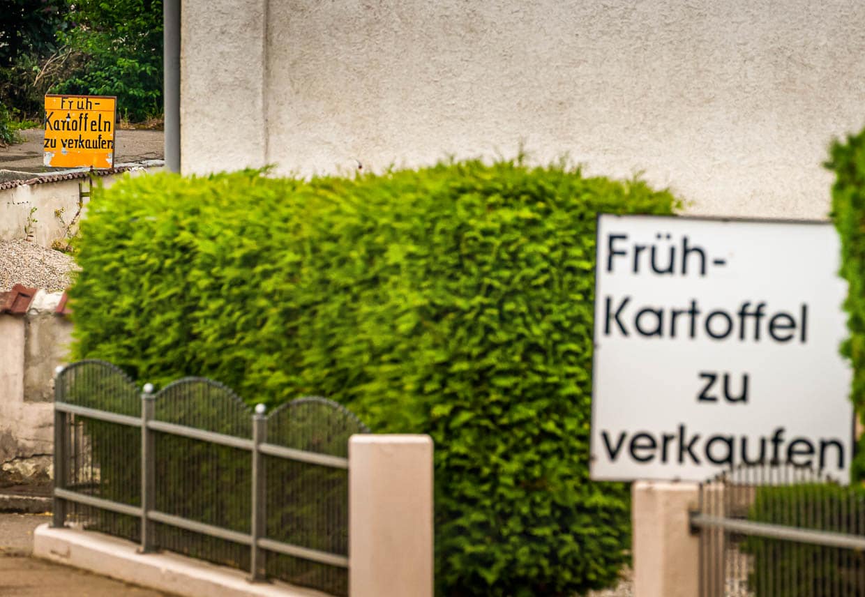 Deutsche Frühkartoffeln gibt es ab Anfang Juni. Endverbraucher können dann direkt ab Hof im 5-Kilo-Sack die frischen Erdäpfel kaufen / © Foto: Georg Berg