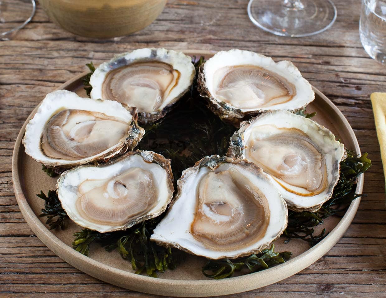 Sechs wilde Austern, gefangen bei Cancale, brauchen keine Würze. Sie unterscheiden sich von den pazifischen Austern durch ihre flache Form / © Foto: Georg Berg