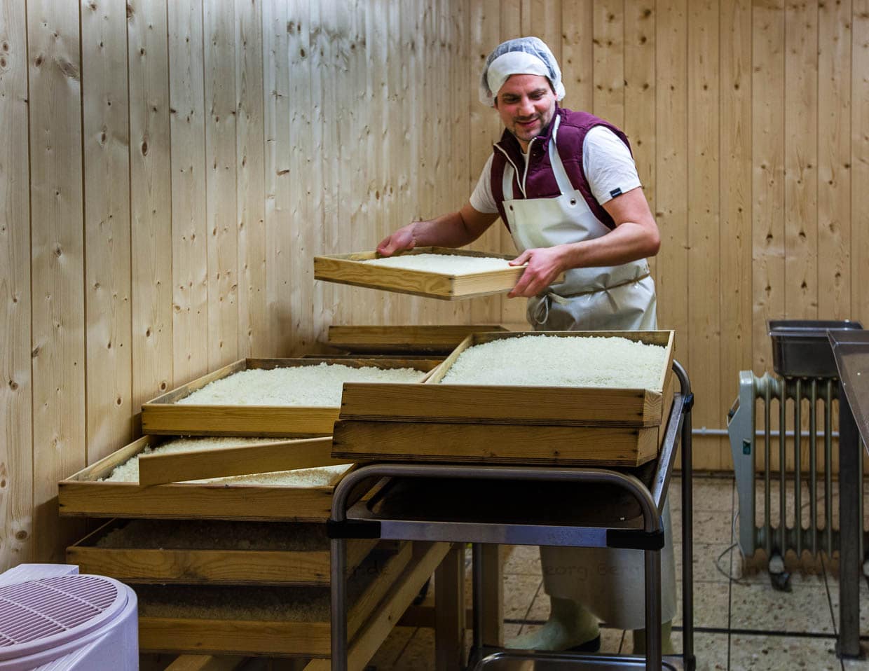 Hier fühlt sich der Koji-Pilz so richtig wohl – in einer Art Sauna lässt Peter Koch ihn auf Reis aus der Po-Ebene gedeihen / © Foto: Georg Berg
