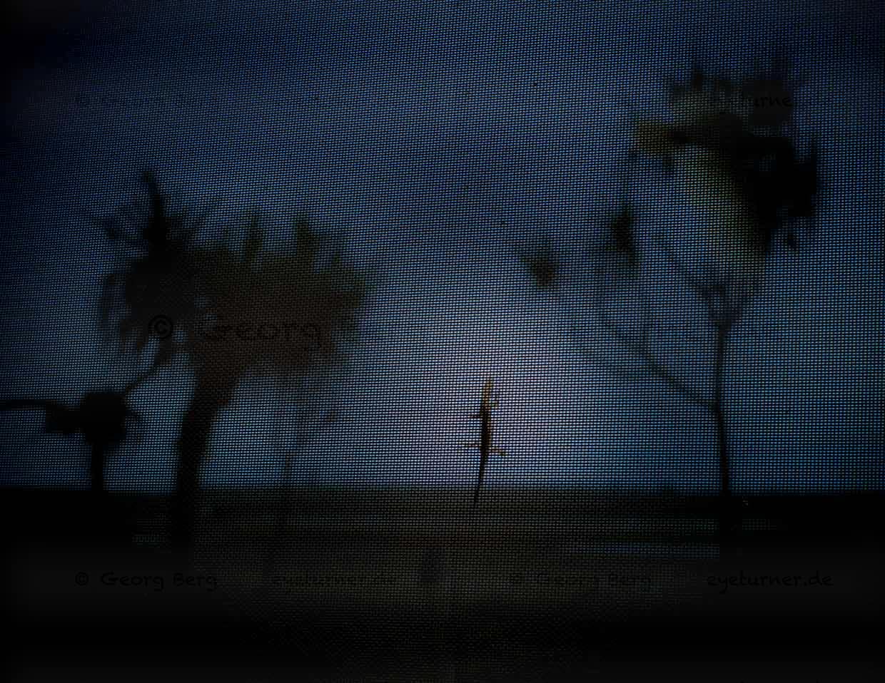 An der Wand erkennt man den Grund, warum in der Nacht keine Mücke lästig geworden ist: Zufrieden wandert ein Gecko über das von außen unsichtbare Fliegengitter, aus dem die ganze Wand besteht / © Foto: Georg Berg