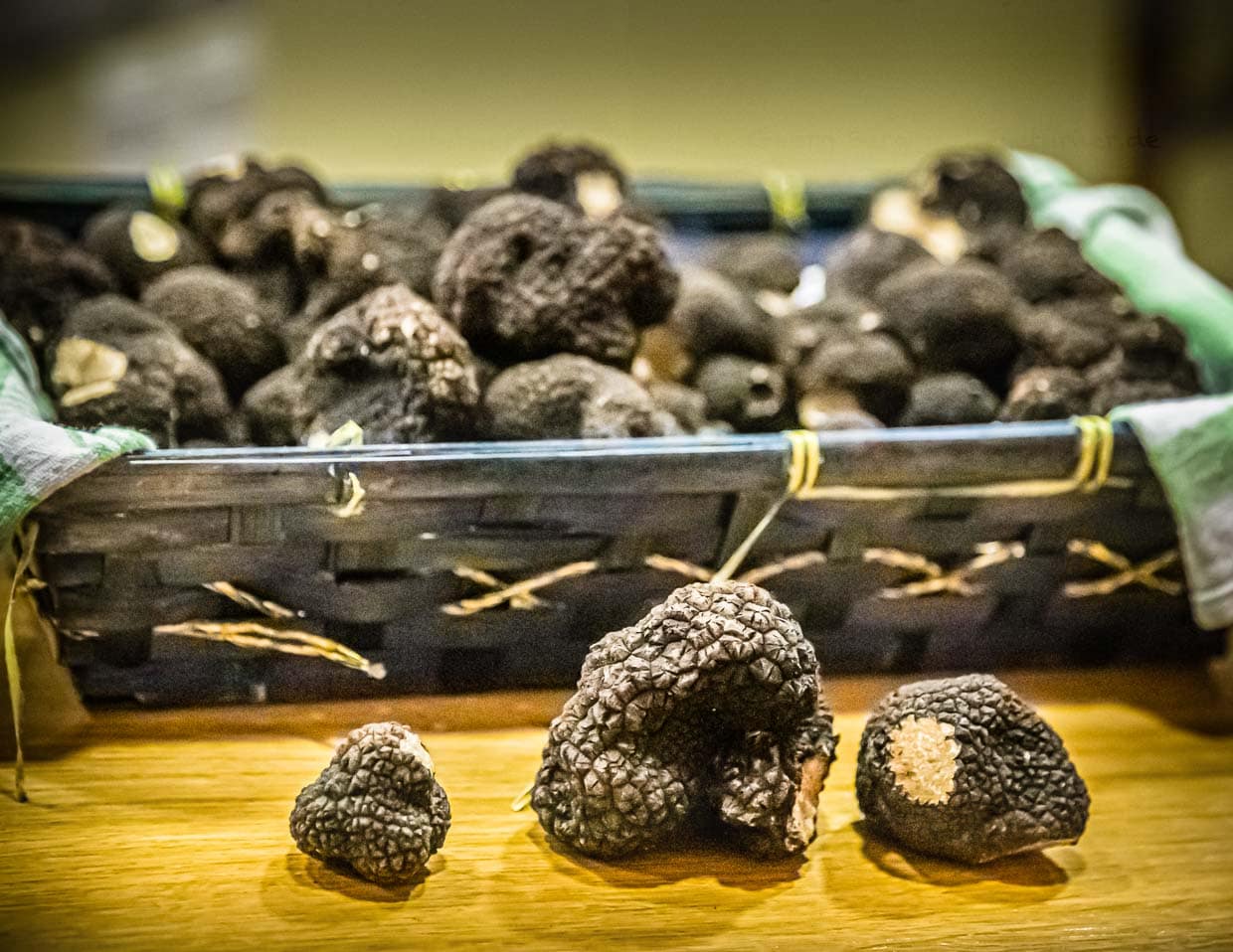 Frischer Fund: schwarzer Burgundertrüffel. Thierry Bezieux erklärt, dass er seinen Kunden aus der Gastronomie nur gleich große Trüffel verkauft / © Foto: Georg Berg