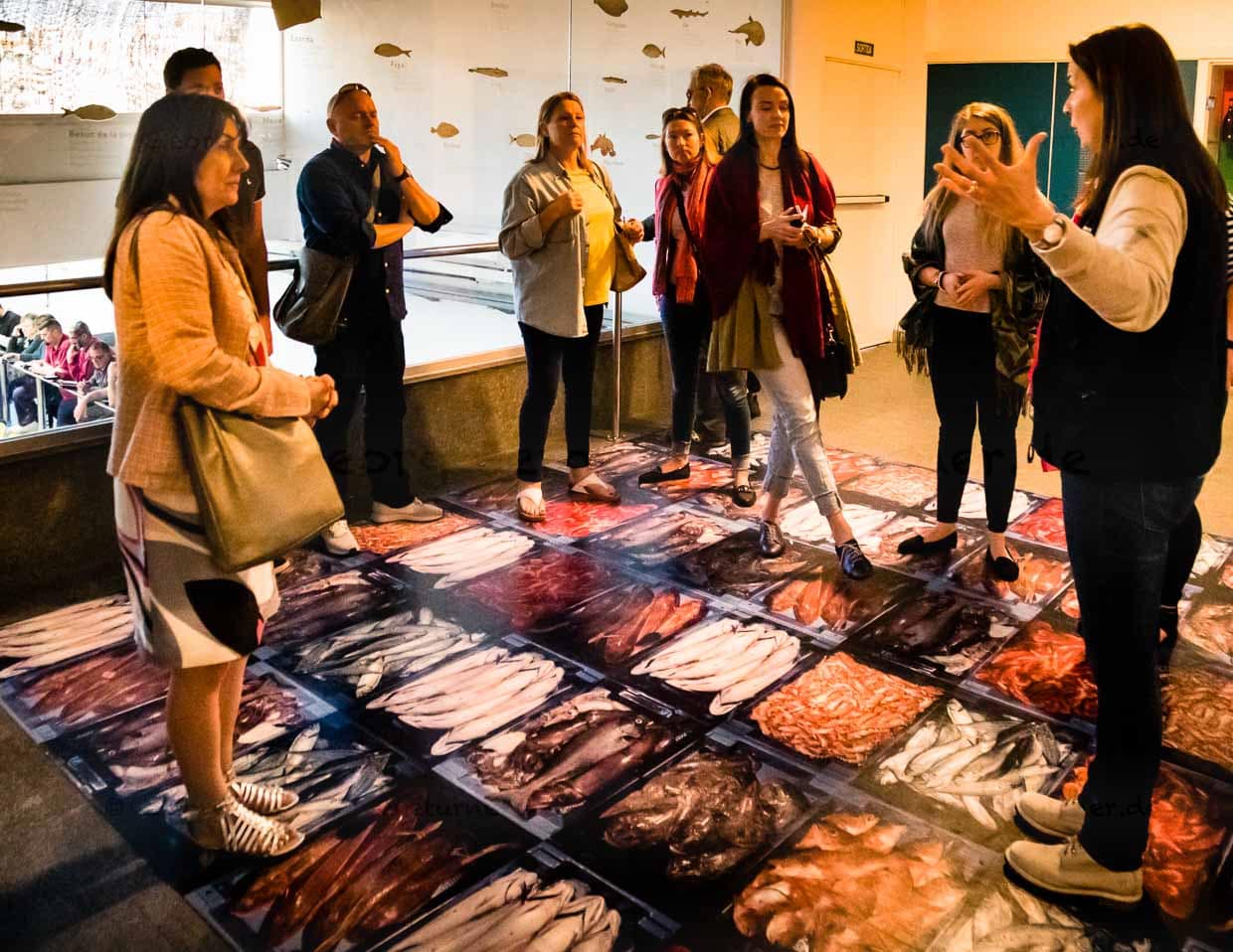 Touristen haben die Möglichkeit, im Rahmen einer Führung die Fischauktion zu besuchen. Museumsmitarbeiterin Maria Angels erklärt das Auktionsprocedere und gibt Auskunft zu Fischarten. Der Auktion kann man dann aber nur hinter Glas und von oben herab beiwohnen / © Foto: Georg Berg