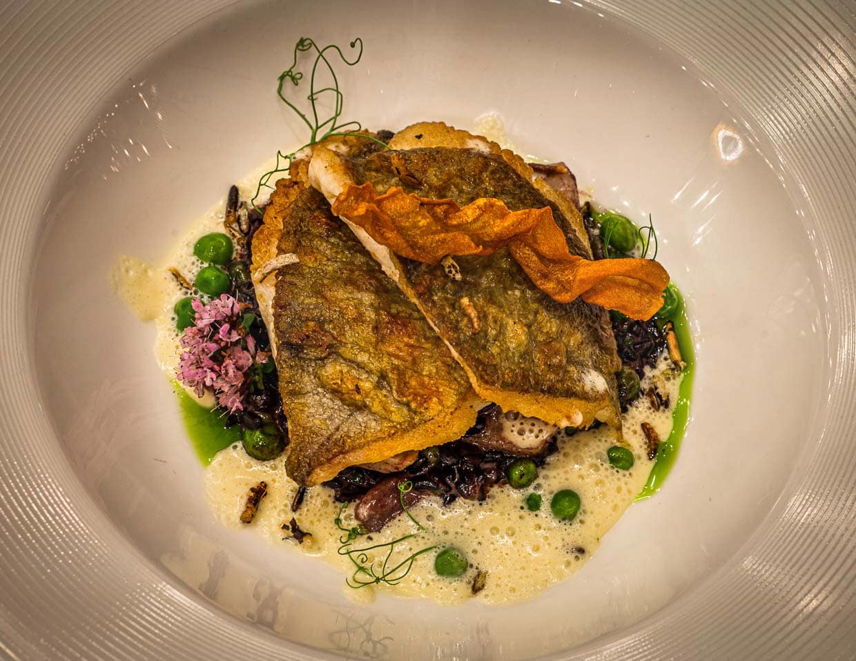Extrem knuspriger St. Petersfisch, auf englisch John Dory genannt, an Risotto aus schwarzem Reis mit Artischockenböden, Erbsen und Weißwein-Sauce / © Foto: Georg Berg