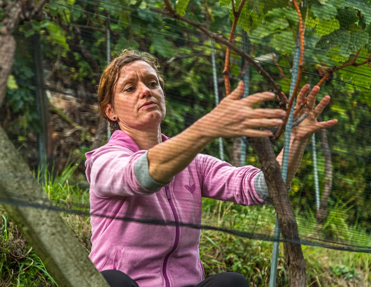 Sorgfältige, naturnahe Arbeit im Rebberg. Kerstin Bernardi erklärt den sanften Rebschnitt, auf den man in der Tenuta San Giogio derzeit umstellt / © Foto: Georg Berg