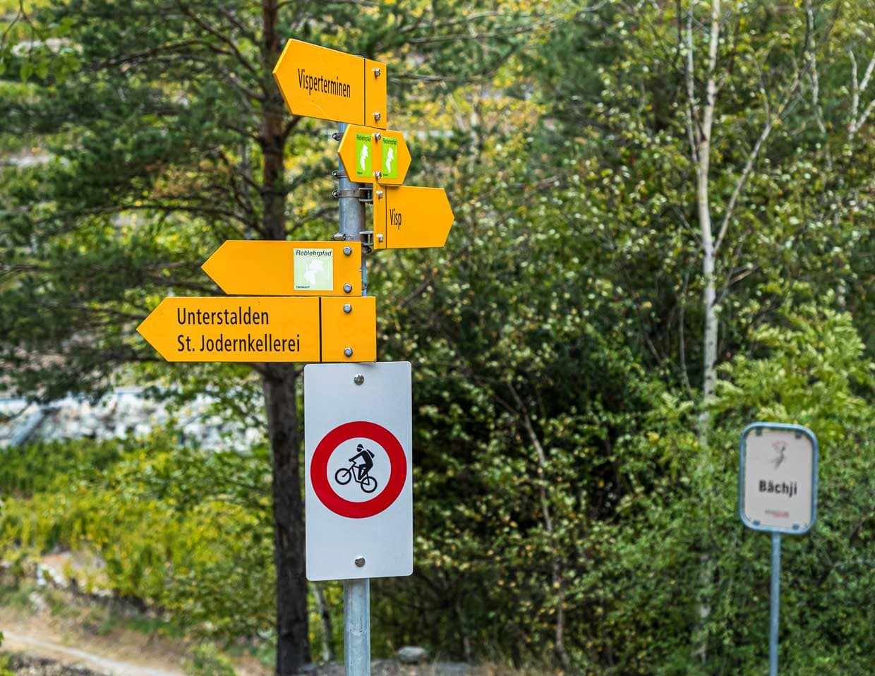 Der Reblehrpfad und der Tärbiner Kulturweg. Es spricht nichts dagegen, aber einiges dafür, ihn in beide Richtungen zu wandern. Ein Richtungswechsel ist auch immer ein Perspektivwechsel und unterwegs gibt es viel zu entdecken / © Foto: Georg Berg