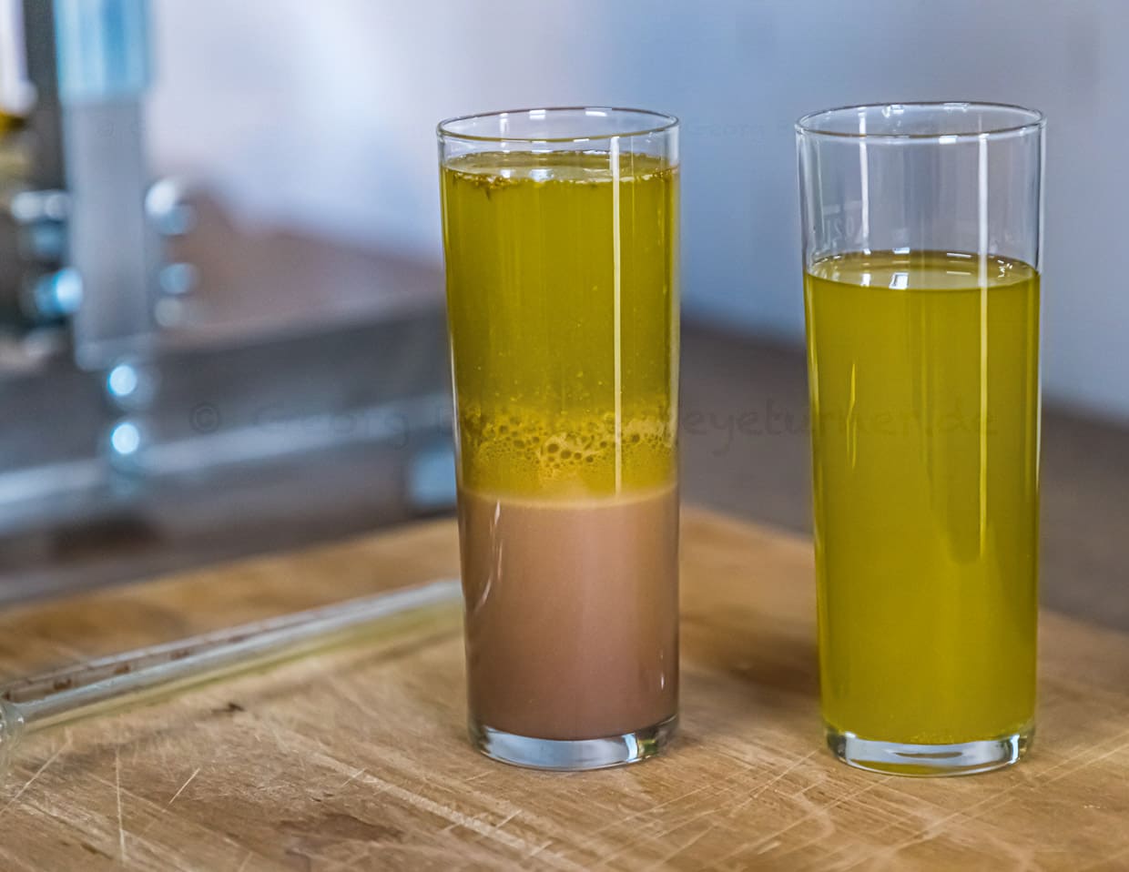 Im Presssaft setzt sich eine wässrige Flüssigkeit ab, die später vom oben schwimmenden Öl getrennt wird. Kölschgläser dienen hier in Pulheim als Laborbehälter / © Foto: Georg Berg