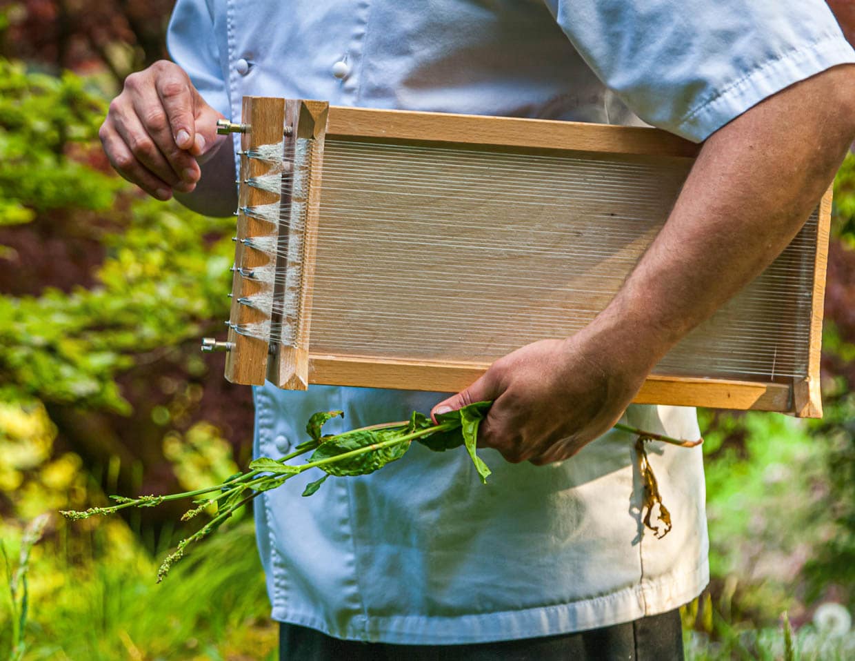 Wartungsarbeiten an der Carraturo sind nur das Strammziehen der Saiten