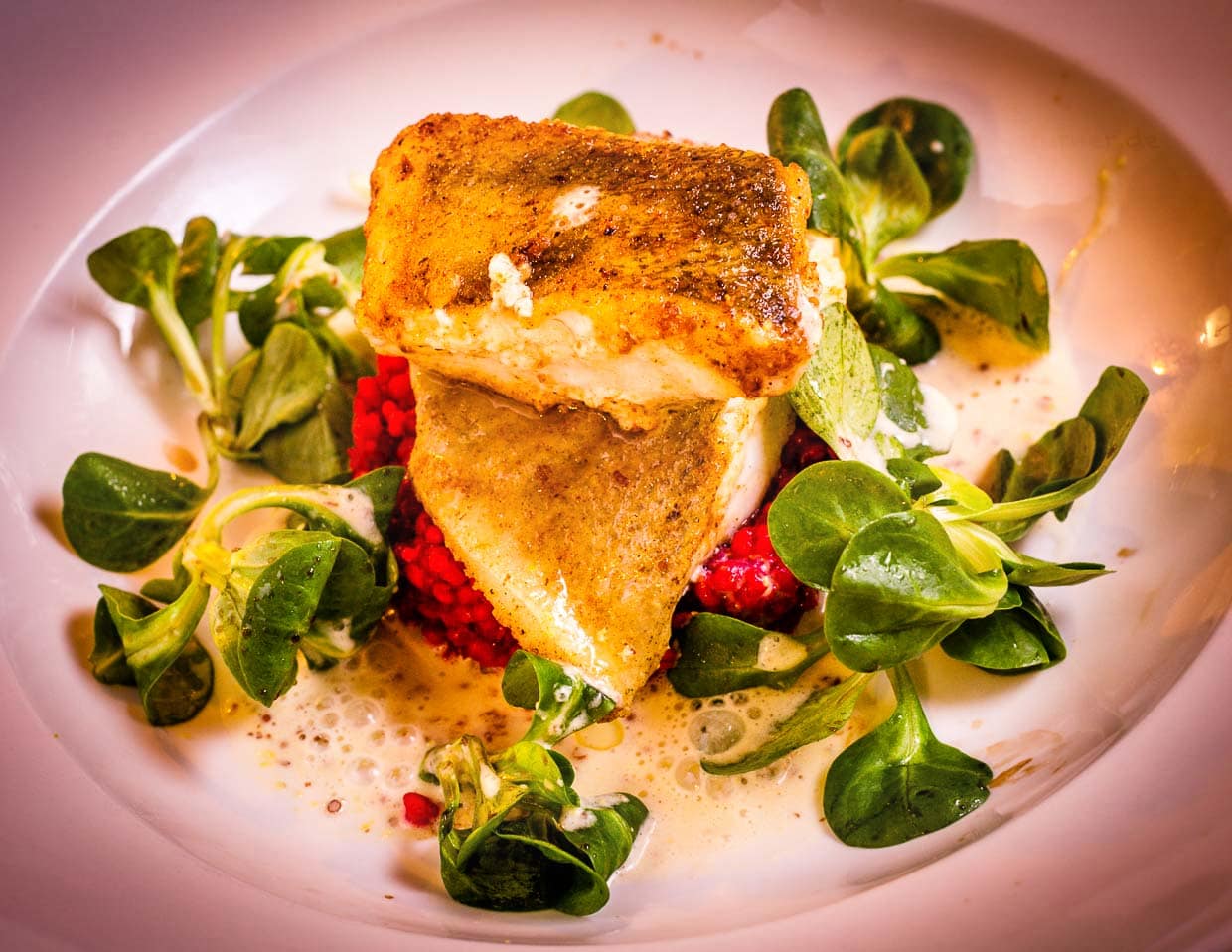 Zander und Barsch auf Rote-Beete-Risotto / © Foto: Georg Berg