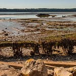 Ein Austerngestell in der Bucht von Pléboulle, Bretagne, Tischkultivierung auf Eisentischen / © Foto: Georg Berg