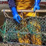 Sammelkorb für wildle Austern, der hinter das Boot gespannt wird / © Foto: Georg Berg