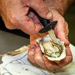 Öffnen einer Auster mit dem Austernmesser / © Foto: Georg Berg