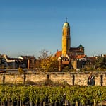 Historische Anbauflächen inmitten der Stadt. Im Hintergrund St. Otto, die 1911 - 1914 von Orlando Kurz erbaute Pfarrkirche des Gärtnerviertels / © Foto: Georg Berg