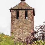 Storch und Tauben auf dem Kessler Turm in Kaysersberg / © Foto: Georg Berg