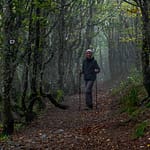 Wanderweg in den Vogesen / © Foto: Georg Berg