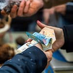 Der Preis für den schwarzen Wintertrüffel liegt zu Beginn der Saison bei ca. 600 Euro pro Kilo und steigt bis Weihnachten an auf ca. 1.000 Euro pro Kilo / © Foto: Georg Berg