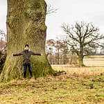 Die alte Eiche in Fincken, Mecklenburg-Vorpommern ist schätzungsweise 700 Jahre alt mit einem Stammdurchmesser von über zwei Metern / © Foto: Georg Berg
