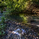 Papierschnitzel aus dem Reiswolf markieren die Spur, auch wenn kein Weg zu erkennen ist. Aber was bedeutet dieses Zeichen? / © Foto: Georg Berg
