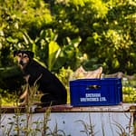 Ungeklärt bleibt, ob der Bierkasten schon bewacht war, als ihn die ersten Hasher zu Gesicht bekamen / © Foto: Georg Berg