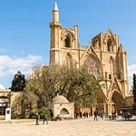 Baum vor der Kathedrale von Famagusta, Nordzypern. Eine Scheinfeige, gepflanzt, so heißt es, im Jahr 1299 zur Einweihung der Kirche. Heute Lala Mustafa Pasha Moschee. Umgewidmet 1571 durch die Ottomanen / © Foto: Georg Berg